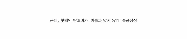 흔치 않은 아이돌의 애완동물 일대기.jpg | 인스티즈