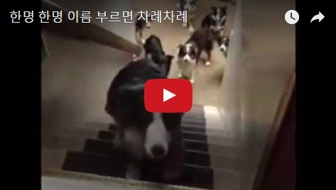 한명 한명 이름 부르면 차례차례로! | 인스티즈
