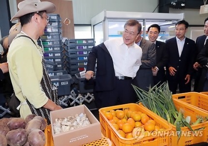 [문재인대통령] 대통령님과 함께 제주감귤 구분해보기.jpg | 인스티즈