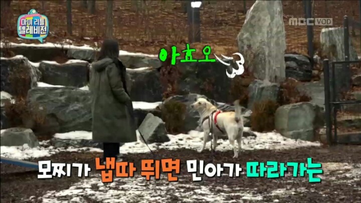 [마리텔] 조련당하는 민아 | 인스티즈