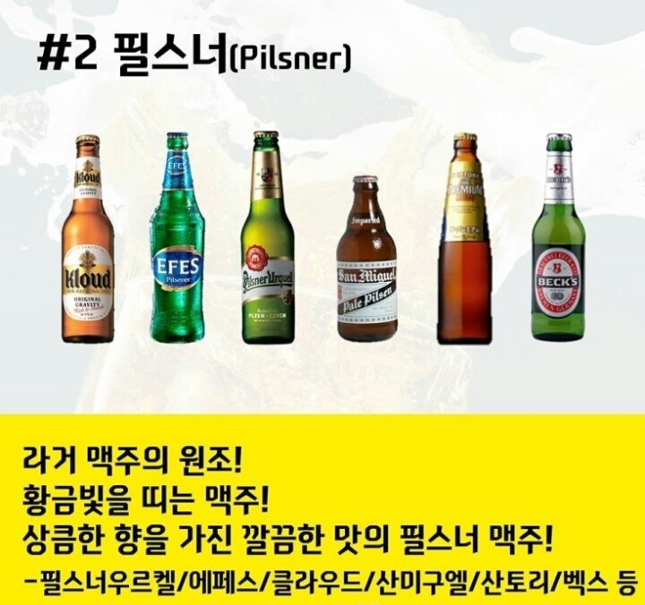 맥주의 종류..여러분의 취향은? | 인스티즈