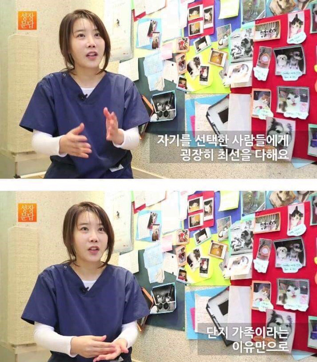 동물을 좋아하는 사람이 동물을 버린단 말이에요 | 인스티즈