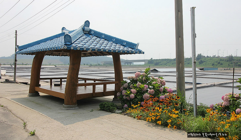 사옥도 이미지