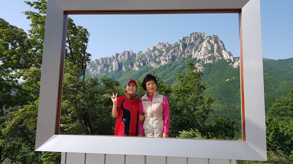 햇비 이미지