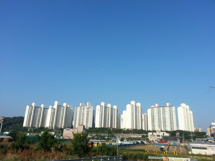 맑음식품 이미지