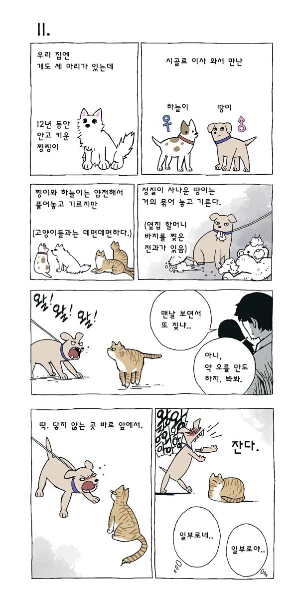 고양이 여덟마리와 사는만화 | 인스티즈