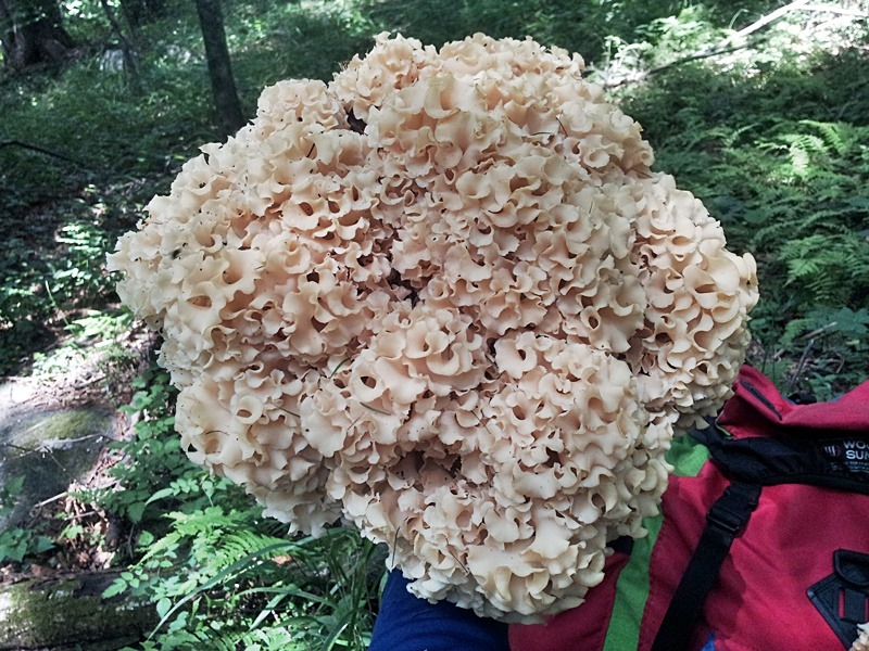 삼복주유소 이미지