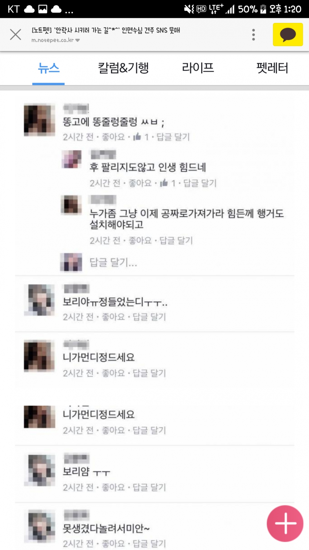 강아지 안락사시키러 가는 길^*^......jpg | 인스티즈