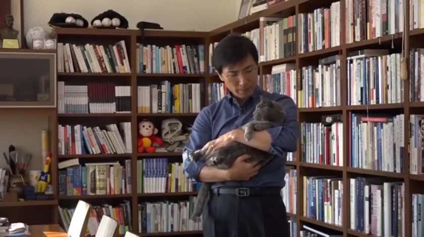 냥집사들 🐱 (사진 엄청많음 주의) | 인스티즈