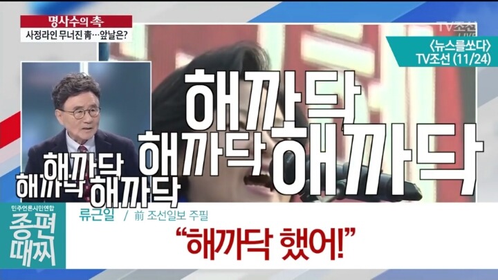 TV조선의 문재인 사랑 | 인스티즈