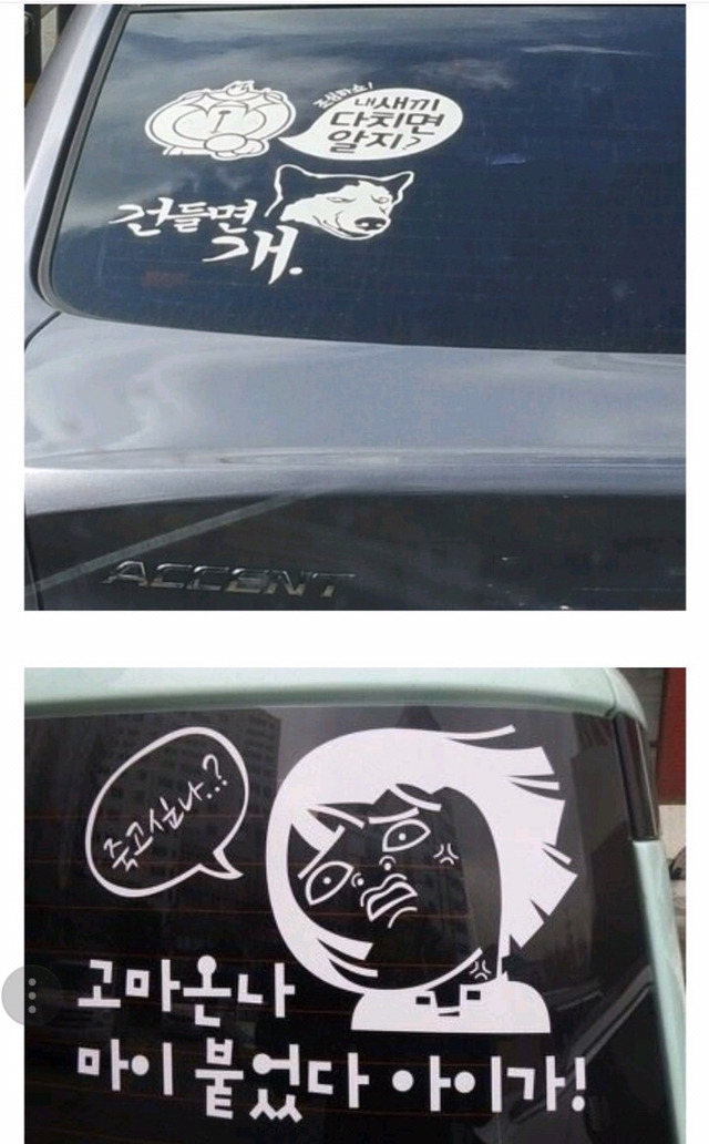 운전 할때 보면 괜시리 기분 좋아지게 만들어주는것들 | 인스티즈