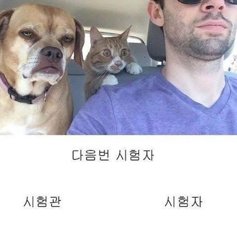 도로주행 시험 | 인스티즈