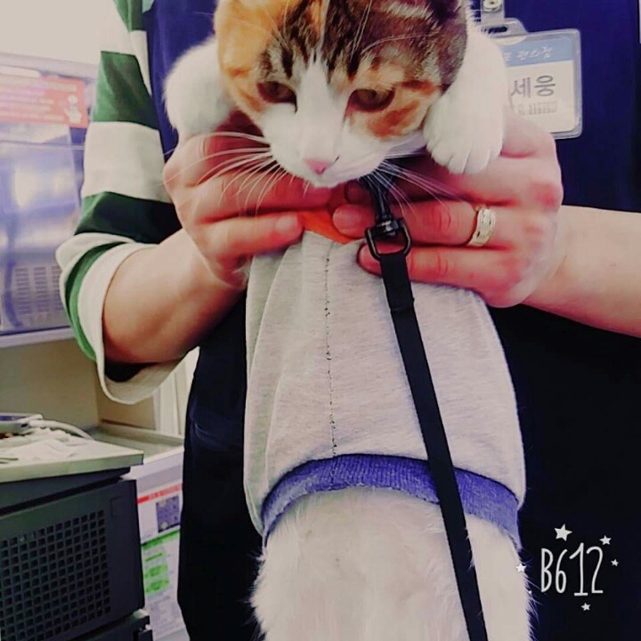 어린 나이에 편의점 점장도 되고....부럽네요 | 인스티즈