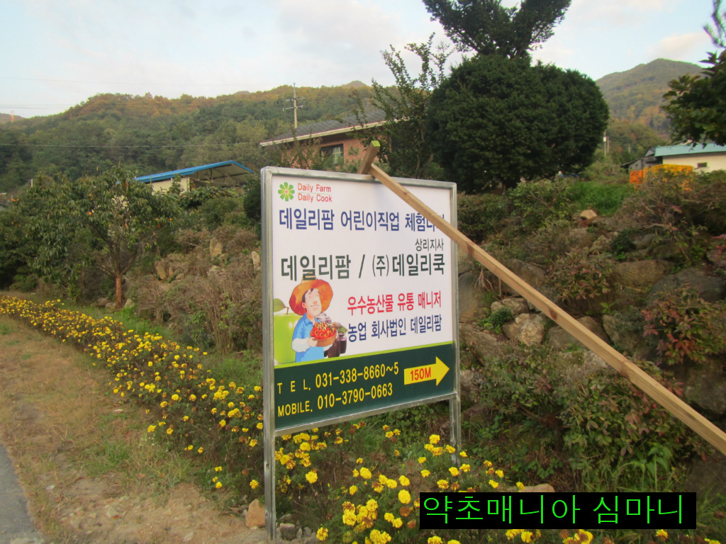 체험나라 이미지