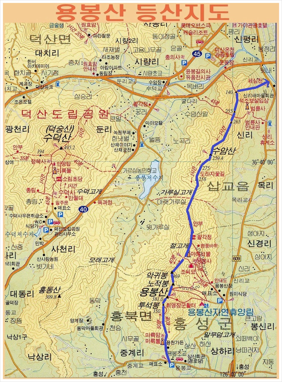 용봉초등학교 이미지
