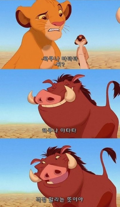 하쿠나마타타 이미지
