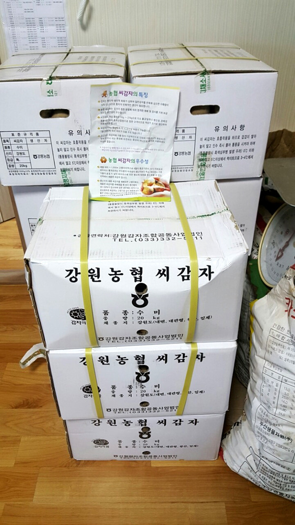 수미수미 이미지