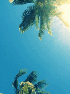  보기만 해도 기분좋아지는 날씨 | 인스티즈