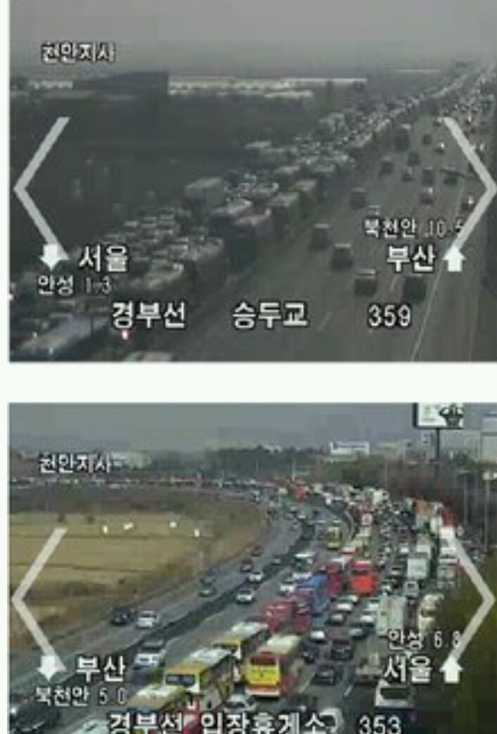 짱이네 이미지