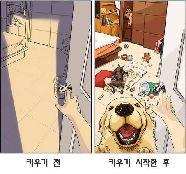 애완동물 키우기 전과 후 | 인스티즈