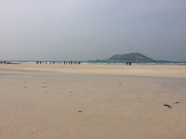 아직 머무르고 있는 제주도 사진 몇장 올립니다 | 인스티즈