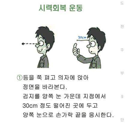 시력좋아지는 방법 | 인스티즈