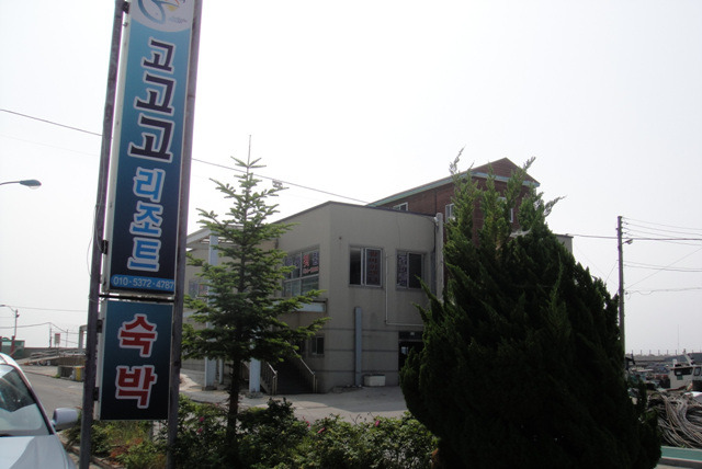고고고리조트 이미지