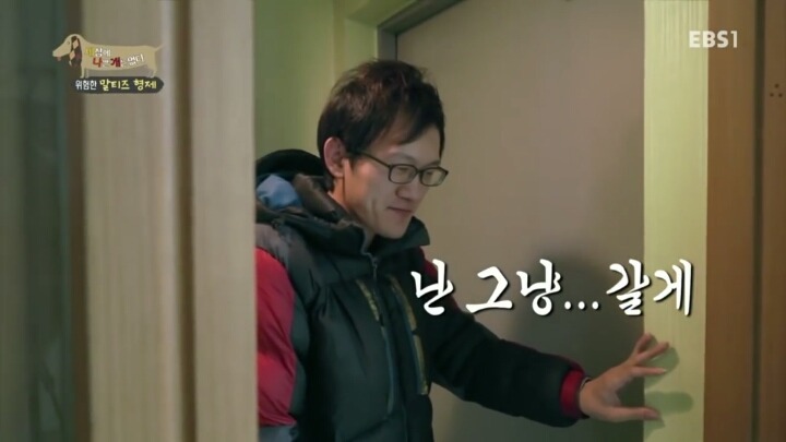 [세나개] 공격적인 반려견이 되는 이유 1부.jpg | 인스티즈