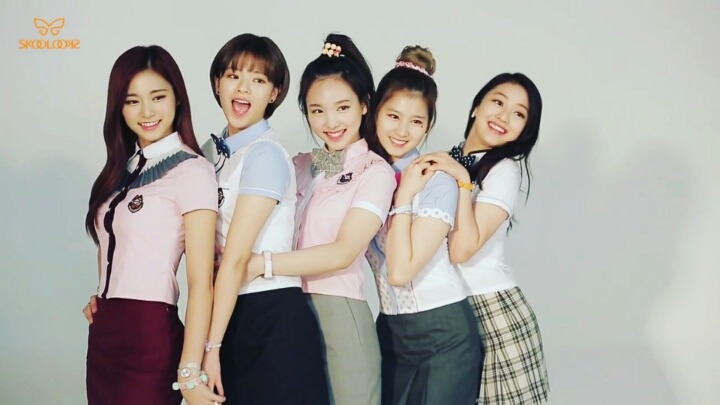[트와이스] 떡고네 꽃밭 | 인스티즈