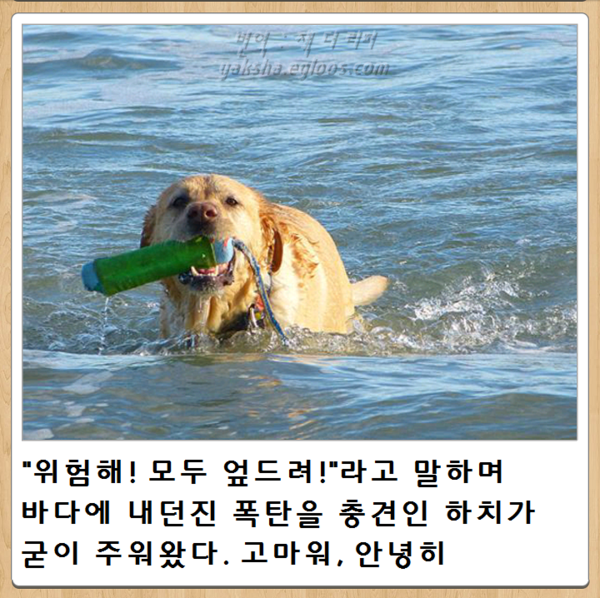 12시 전에 올리는, 오늘자 최신 보케테 | 인스티즈