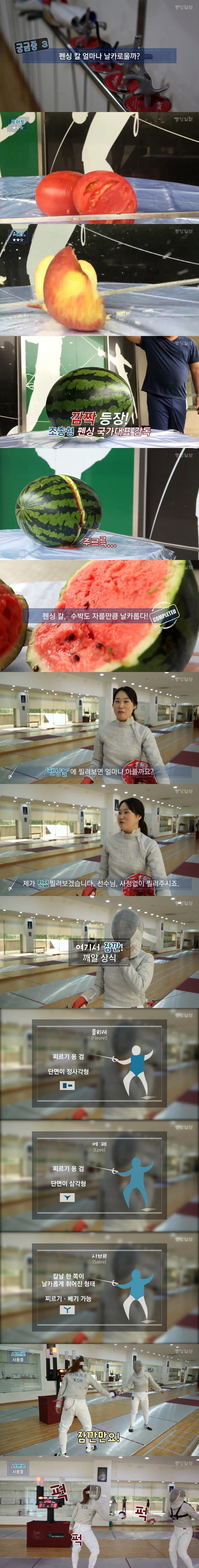 펜싱에 쓰이는 칼이 얼마나 강력한지 한 번 알아보자.arajoba | 인스티즈