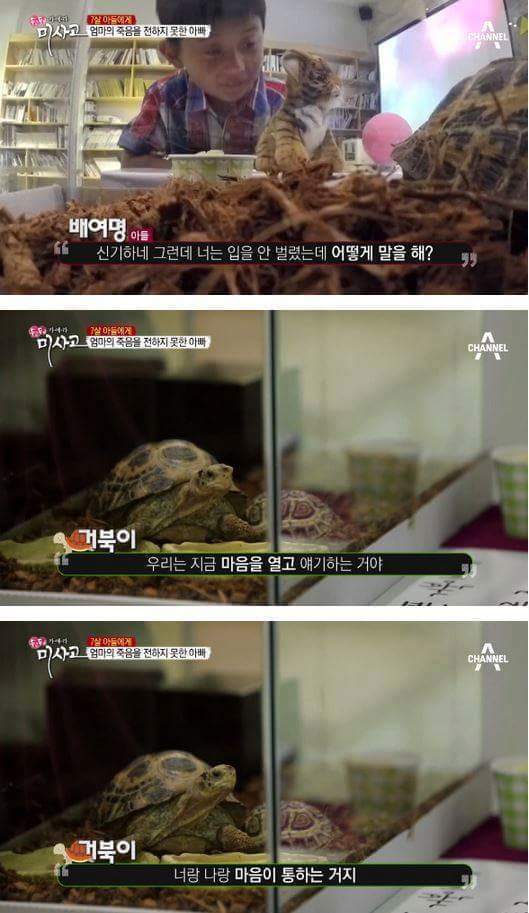 7살 아들에게 엄마의 죽음을 전하는 아빠 | 인스티즈