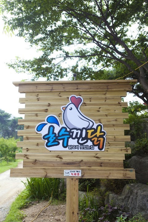 수려한 닭 이미지