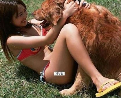 빼꼼 이미지