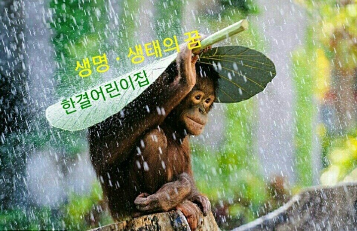 엘아이컴퍼니 이미지