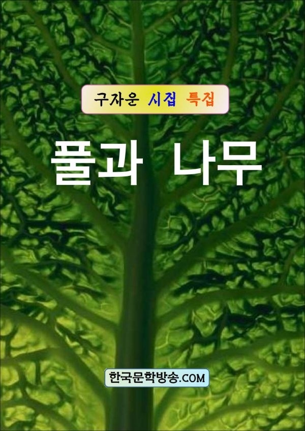 2347B7385643E21427EFD5