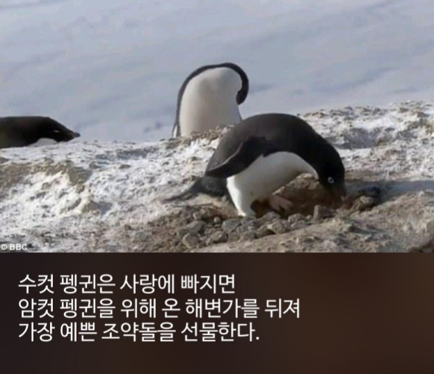 우리가 몰랐단 16가지 | 인스티즈
