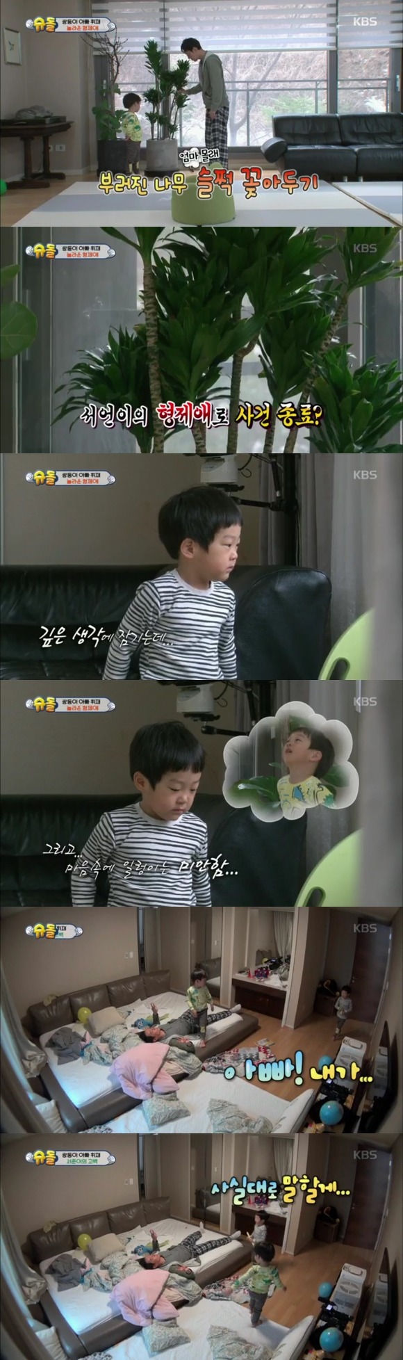 나무를 부러트린 서준이의 최후 | 인스티즈