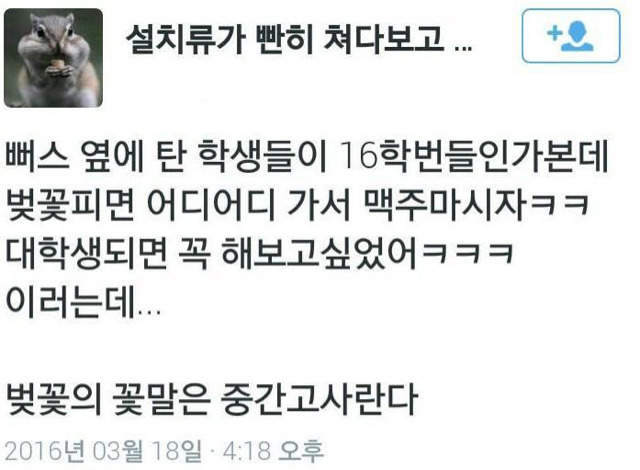 16학번들의 봄 캠퍼스 로망 | 인스티즈