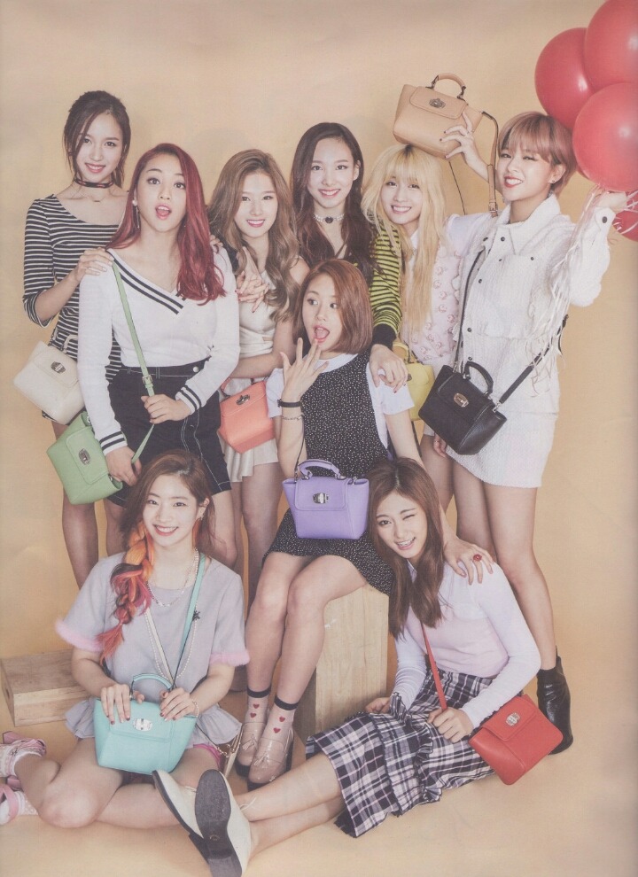 트와이스 멤버 중 가장 내 취향인 멤버 | 인스티즈