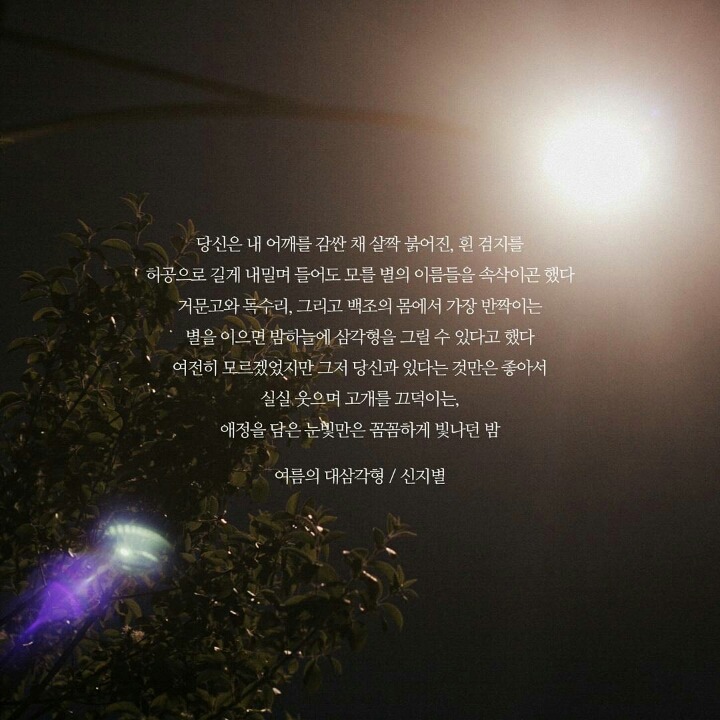 좋아서라고 웅얼거렸다. 생각해보니 제일 맞는 말이기도 했다 | 인스티즈