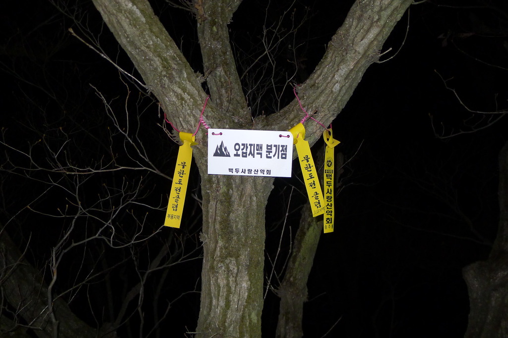 달빛사냥 이미지