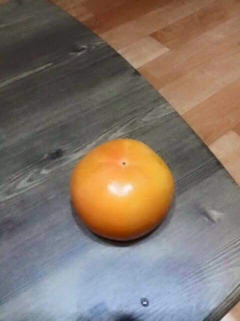 감의 비밀 | 인스티즈