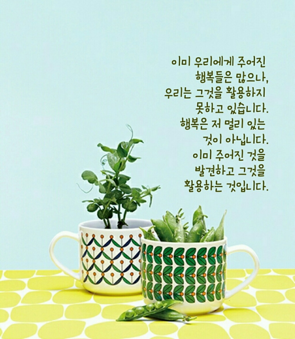 모닝다방 이미지
