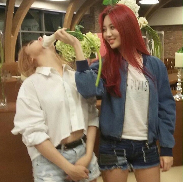 비지니스 관계 라고는 전혀 없어보이는 걸그룹 | 인스티즈