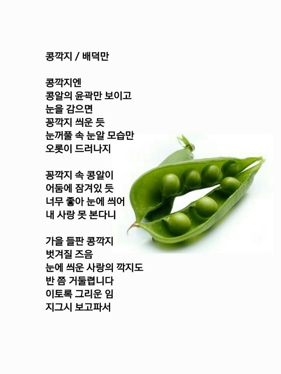 동산문학사 이미지