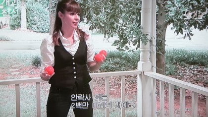 반려동물 교배에 대해 생각하고 있다면 꼭 한번 읽어봤으면 하는 글 | 인스티즈