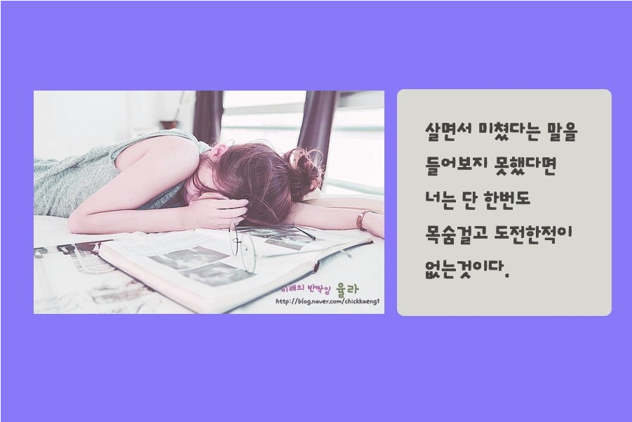 카피아 이미지
