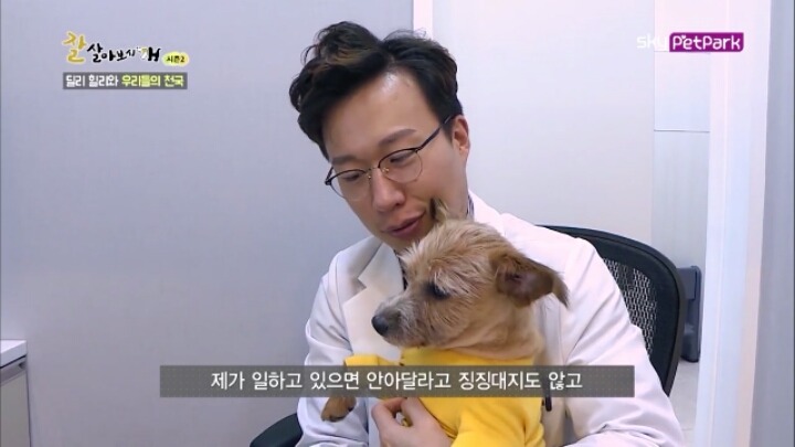 사람에 대한 트라우마가 있는 강아지 딜리 | 인스티즈