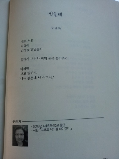 민들레세상 이미지